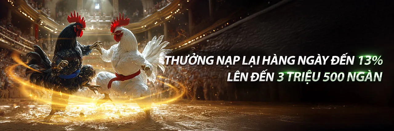 Đá gà trực tuyến CM88 với trận đấu kịch tính